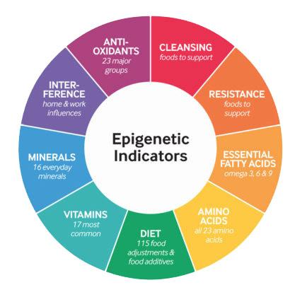 epigenetics