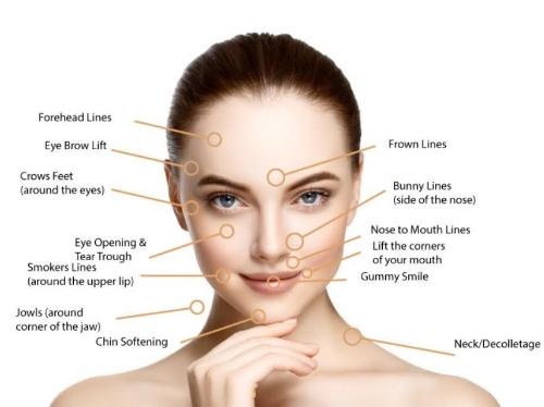 fibroblasttreatmentareas